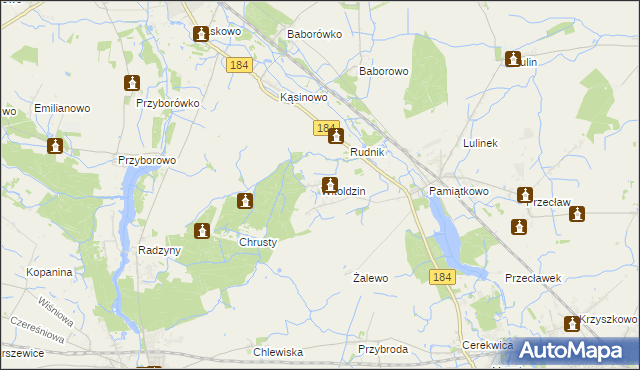 mapa Witoldzin gmina Szamotuły, Witoldzin gmina Szamotuły na mapie Targeo