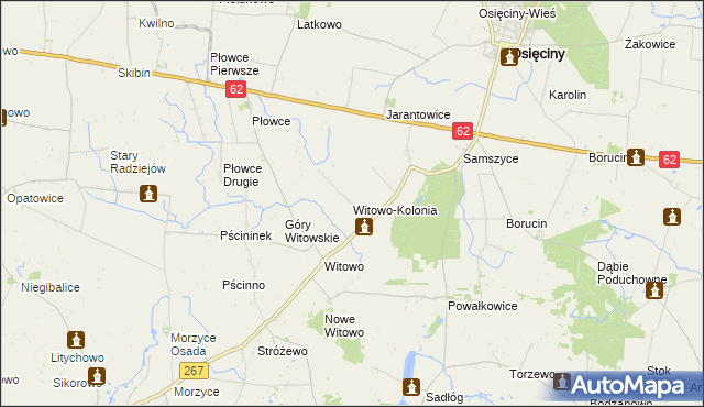 mapa Witowo-Kolonia, Witowo-Kolonia na mapie Targeo