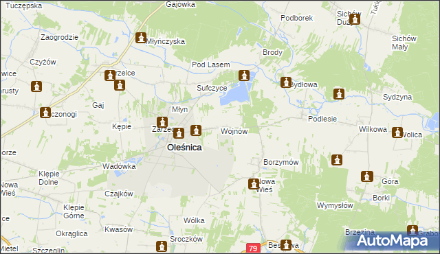 mapa Wojnów gmina Oleśnica, Wojnów gmina Oleśnica na mapie Targeo