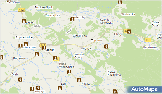 mapa Wronów gmina Gizałki, Wronów gmina Gizałki na mapie Targeo