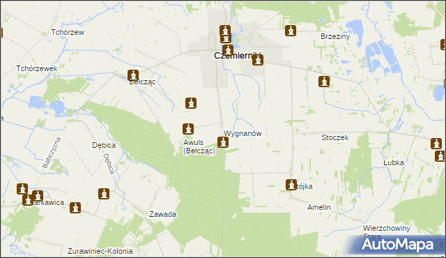 mapa Wygnanów gmina Czemierniki, Wygnanów gmina Czemierniki na mapie Targeo