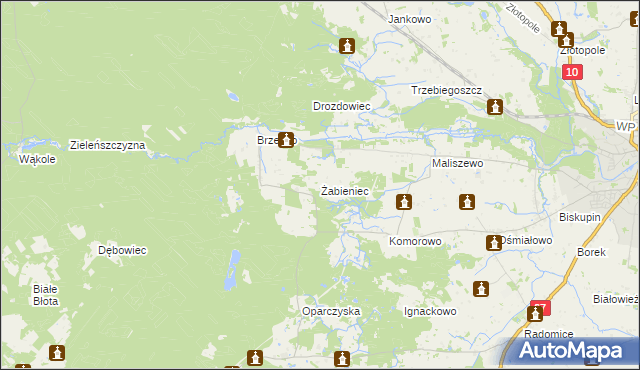 mapa Żabieniec gmina Lipno, Żabieniec gmina Lipno na mapie Targeo