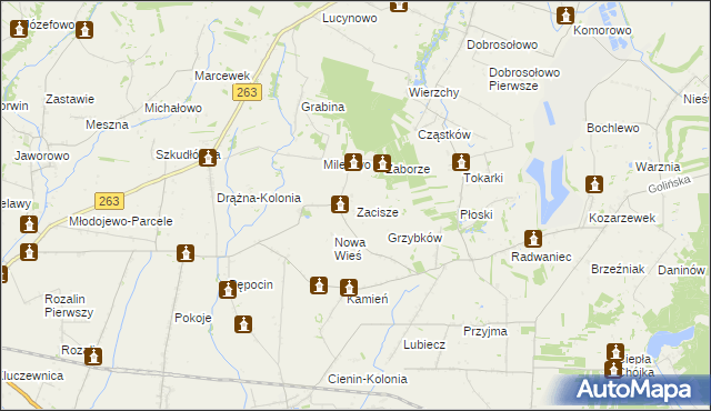 mapa Zacisze gmina Słupca, Zacisze gmina Słupca na mapie Targeo