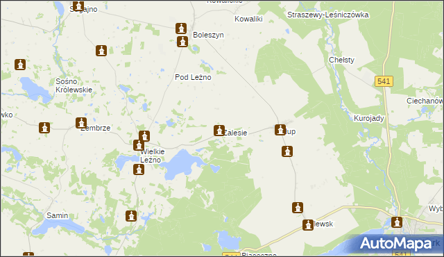 mapa Zalesie gmina Lidzbark, Zalesie gmina Lidzbark na mapie Targeo