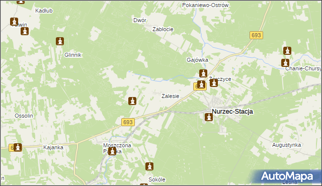 mapa Zalesie gmina Nurzec-Stacja, Zalesie gmina Nurzec-Stacja na mapie Targeo