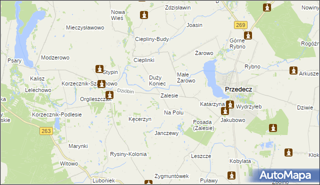 mapa Zalesie gmina Przedecz, Zalesie gmina Przedecz na mapie Targeo