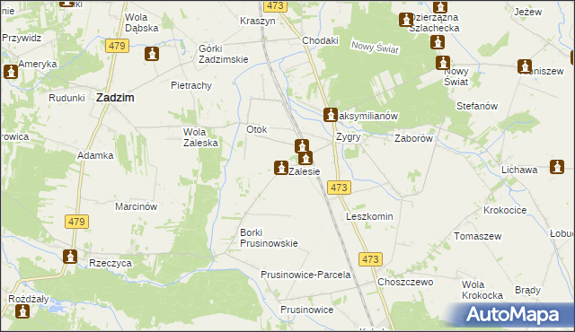 mapa Zalesie gmina Zadzim, Zalesie gmina Zadzim na mapie Targeo