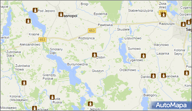 mapa Żłobin, Żłobin na mapie Targeo