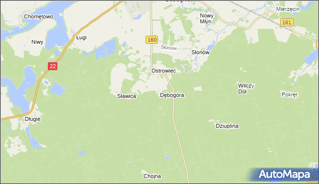 mapa Dębogóra gmina Dobiegniew, Dębogóra gmina Dobiegniew na mapie Targeo