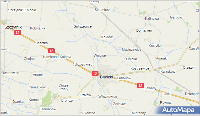 mapa Kokoszki gmina Błaszki, Kokoszki gmina Błaszki na mapie Targeo