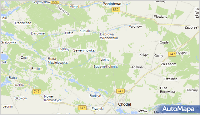 mapa Lipiny gmina Chodel, Lipiny gmina Chodel na mapie Targeo