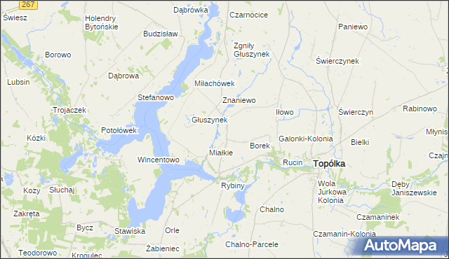 mapa Opielanka, Opielanka na mapie Targeo