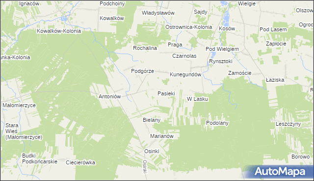 mapa Pasieki gmina Ciepielów, Pasieki gmina Ciepielów na mapie Targeo