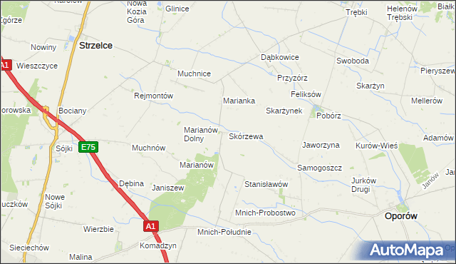 mapa Skórzewa, Skórzewa na mapie Targeo