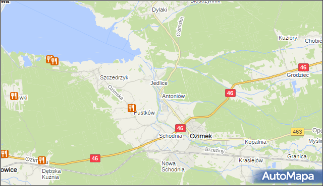 mapa Antoniów gmina Ozimek, Antoniów gmina Ozimek na mapie Targeo