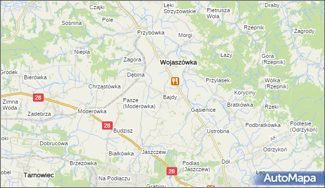mapa Bajdy gmina Wojaszówka, Bajdy gmina Wojaszówka na mapie Targeo