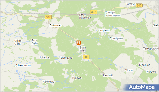 mapa Biała Wieś gmina Grodzisk Wielkopolski, Biała Wieś gmina Grodzisk Wielkopolski na mapie Targeo