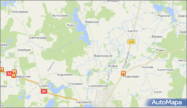 mapa Białokoszyce, Białokoszyce na mapie Targeo