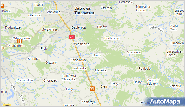 mapa Brnik, Brnik na mapie Targeo