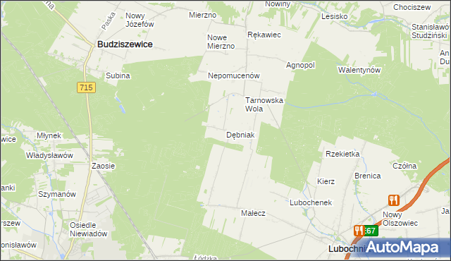 mapa Dębniak gmina Lubochnia, Dębniak gmina Lubochnia na mapie Targeo