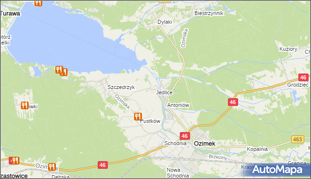 mapa Jedlice gmina Ozimek, Jedlice gmina Ozimek na mapie Targeo