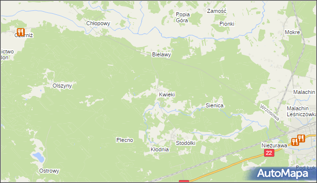 mapa Kwieki, Kwieki na mapie Targeo