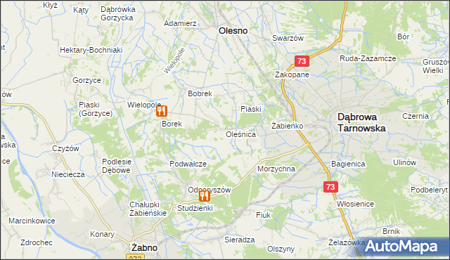 mapa Oleśnica gmina Olesno, Oleśnica gmina Olesno na mapie Targeo