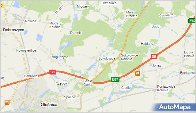 mapa Sokołowice gmina Oleśnica, Sokołowice gmina Oleśnica na mapie Targeo