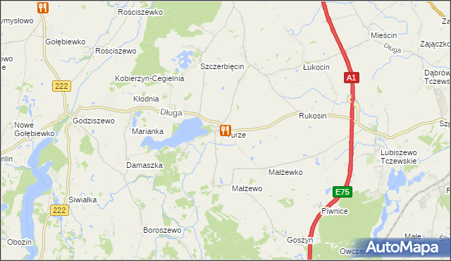 mapa Turze gmina Tczew, Turze gmina Tczew na mapie Targeo