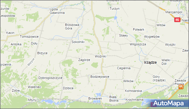 mapa Woźniki gmina Irządze, Woźniki gmina Irządze na mapie Targeo