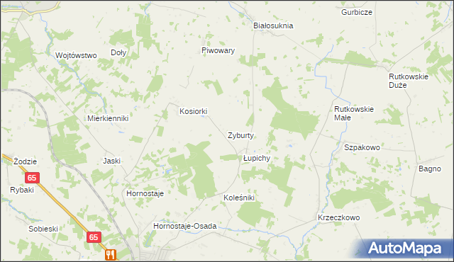 mapa Zyburty, Zyburty na mapie Targeo