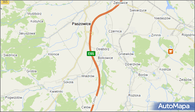 mapa Bolkowice gmina Paszowice, Bolkowice gmina Paszowice na mapie Targeo