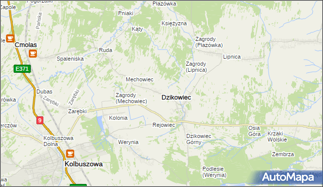 mapa Dzikowiec powiat kolbuszowski, Dzikowiec powiat kolbuszowski na mapie Targeo