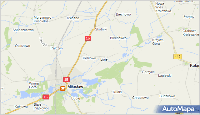 mapa Lipie gmina Miłosław, Lipie gmina Miłosław na mapie Targeo