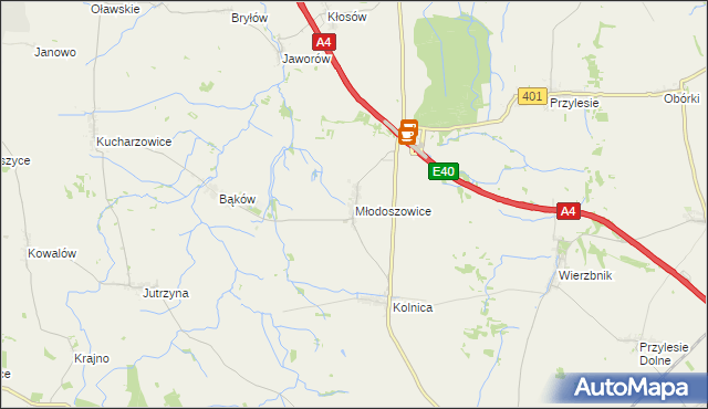 mapa Młodoszowice, Młodoszowice na mapie Targeo