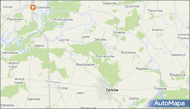 mapa Rozmarynów, Rozmarynów na mapie Targeo