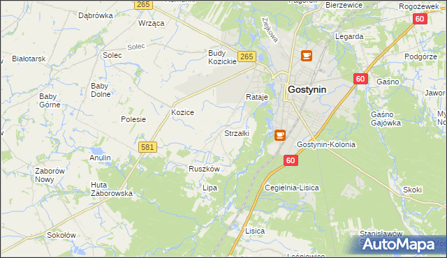 mapa Strzałki gmina Gostynin, Strzałki gmina Gostynin na mapie Targeo