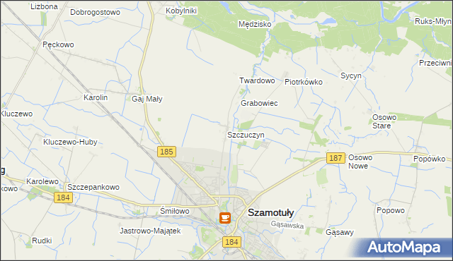 mapa Szczuczyn gmina Szamotuły, Szczuczyn gmina Szamotuły na mapie Targeo