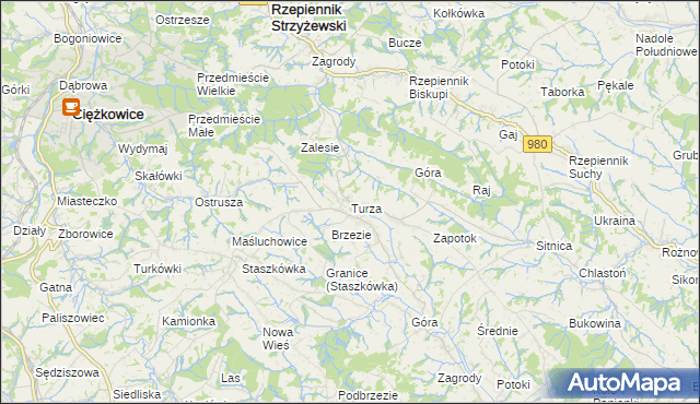 mapa Turza gmina Rzepiennik Strzyżewski, Turza gmina Rzepiennik Strzyżewski na mapie Targeo