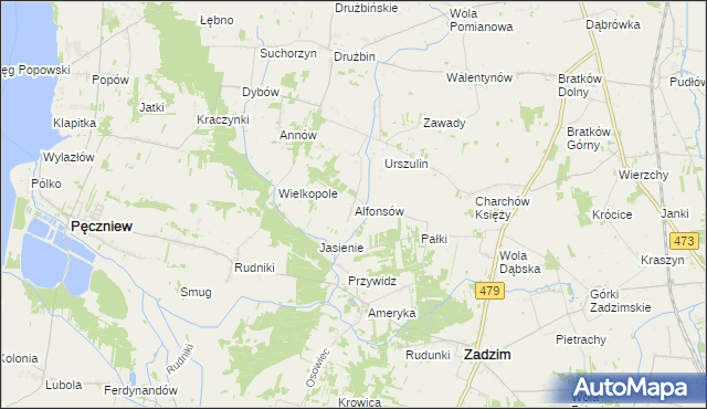 mapa Alfonsów gmina Zadzim, Alfonsów gmina Zadzim na mapie Targeo