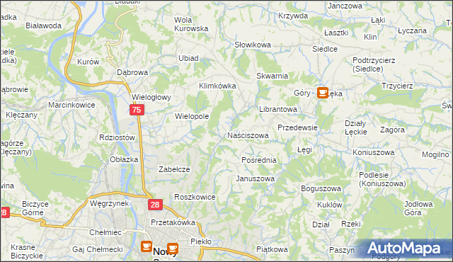 mapa Naściszowa, Naściszowa na mapie Targeo