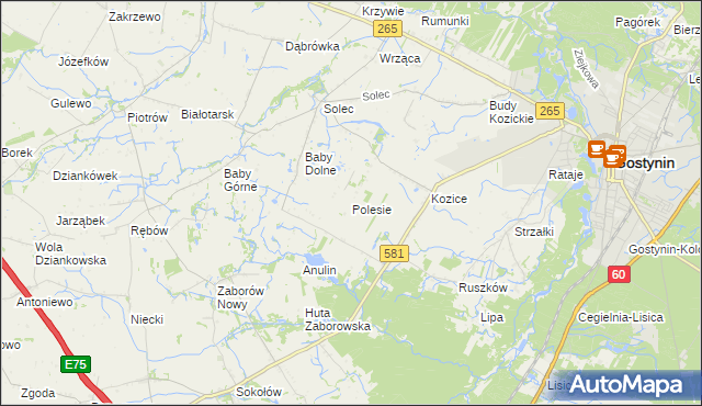 mapa Polesie gmina Gostynin, Polesie gmina Gostynin na mapie Targeo