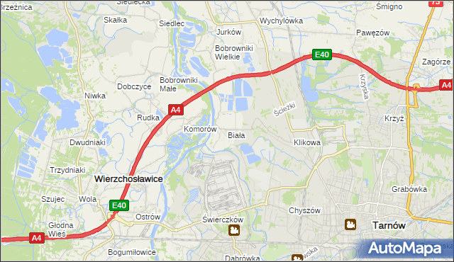 mapa Biała gmina Tarnów, Biała gmina Tarnów na mapie Targeo