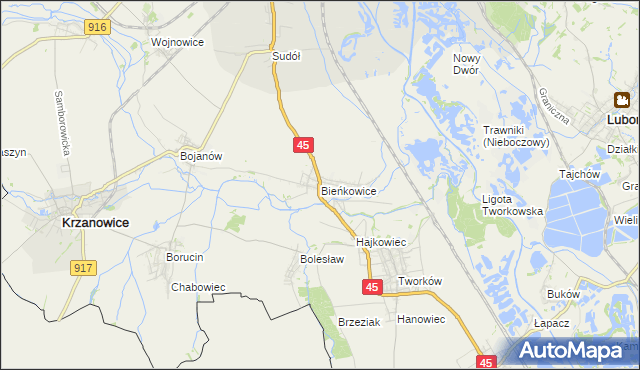 mapa Bieńkowice gmina Krzyżanowice, Bieńkowice gmina Krzyżanowice na mapie Targeo