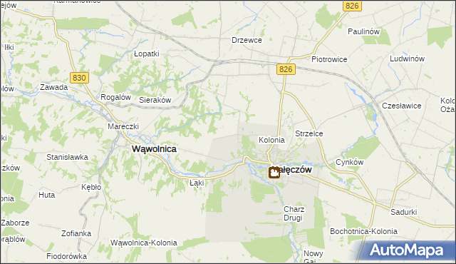 mapa Chruszczów-Kolonia, Chruszczów-Kolonia na mapie Targeo