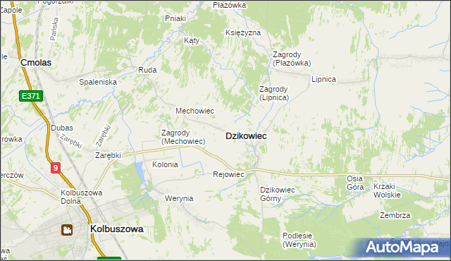 mapa Dzikowiec powiat kolbuszowski, Dzikowiec powiat kolbuszowski na mapie Targeo