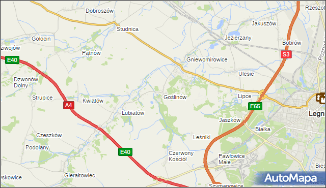 mapa Goślinów, Goślinów na mapie Targeo