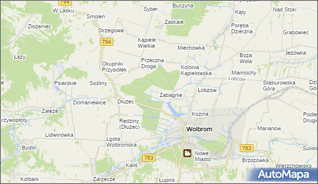 mapa Zabagnie gmina Wolbrom, Zabagnie gmina Wolbrom na mapie Targeo