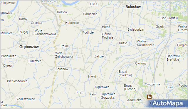 mapa Zalipie gmina Olesno, Zalipie gmina Olesno na mapie Targeo