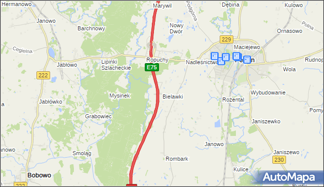 mapa Bielawki gmina Pelplin, Bielawki gmina Pelplin na mapie Targeo